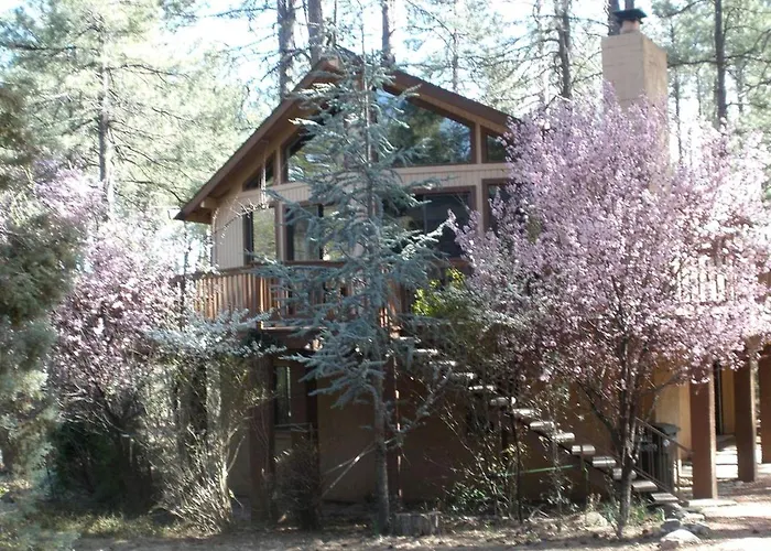 Getaway Near To Pine, Arizona That Is Perfect For A Family Vacation * Pine