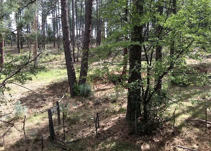 Getaway Near To Pine, Arizona That Is Perfect For A Family Vacation Holiday home